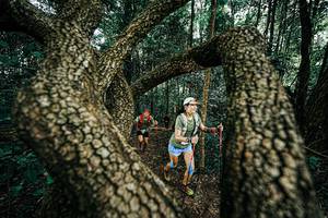 BIB: 
                            <button type="button" onclick="openModal(25394123)" class="btn btn-primary btn-sm float-right btn-popup" data-toggle="modal" data-target=".modal-high-quality">
                        <i class="fas fa-shopping-cart"></i> Add to Cart
                    </button>
                                            <button type="button" onclick="isThisMe(25394123, true)" class="btn btn-success btn-sm float-right btn-popup btn-isme hidden" data-toggle="tooltip" data-placement="bottom" title="นี่คือรูปของคุณใช่ไหม คลิกที่นี่เพื่อเอาเข้าอัลบั้ม">
                        <i class="fas fa-plus"></i> Add to album
                    </button>
                    <button type="button" onclick="isThisMe(25394123, false)" class="btn btn-warning btn-sm float-right btn-popup btn-isnotme hidden">
                        <i class="fas fa-ban"></i> Remove from album
                    </button>